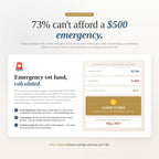 An emergency vet fund calculator sizing the buffer to set aside