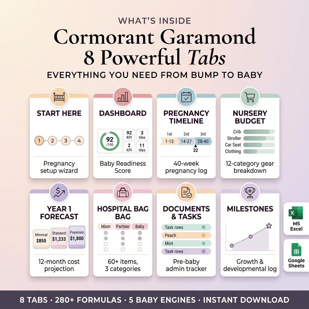What is inside: 8 powerful tabs for pregnancy setup, nursery budget, year 1 forecast, hospital bag and milestones