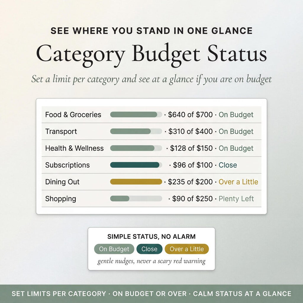 Category budget status with progress bars and statuses like on budget or over a little